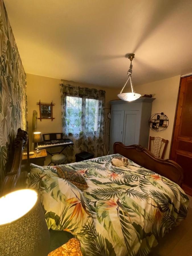 Duud Apartment Castanet-Tolosan Ngoại thất bức ảnh